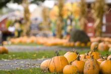 Your Ultimate Guide to Vermont Fall Festivals