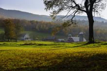 Vermont's Best Farms and Orchards
