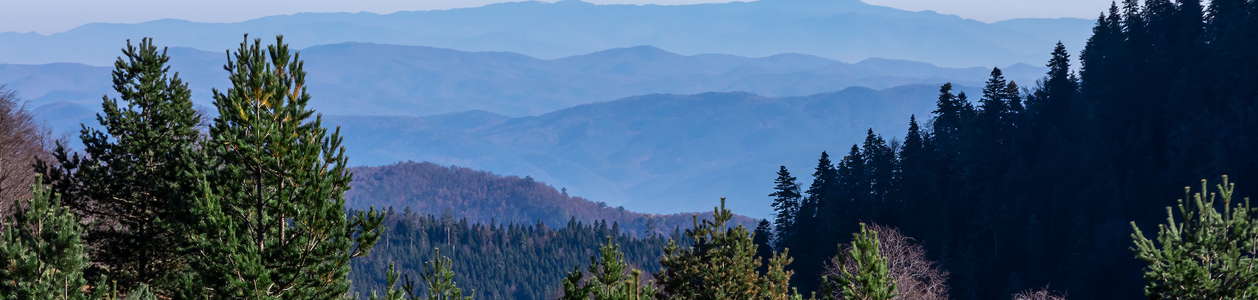 Killington Brewfest event