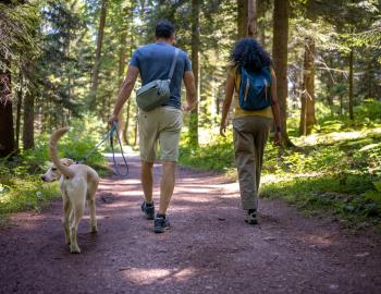Things To Do Girl Scout Loop Trail