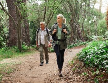 Things To Do Bald Mountain Trails
