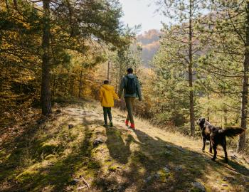 Things To Do Canty Trail/Blue Ridge Trail