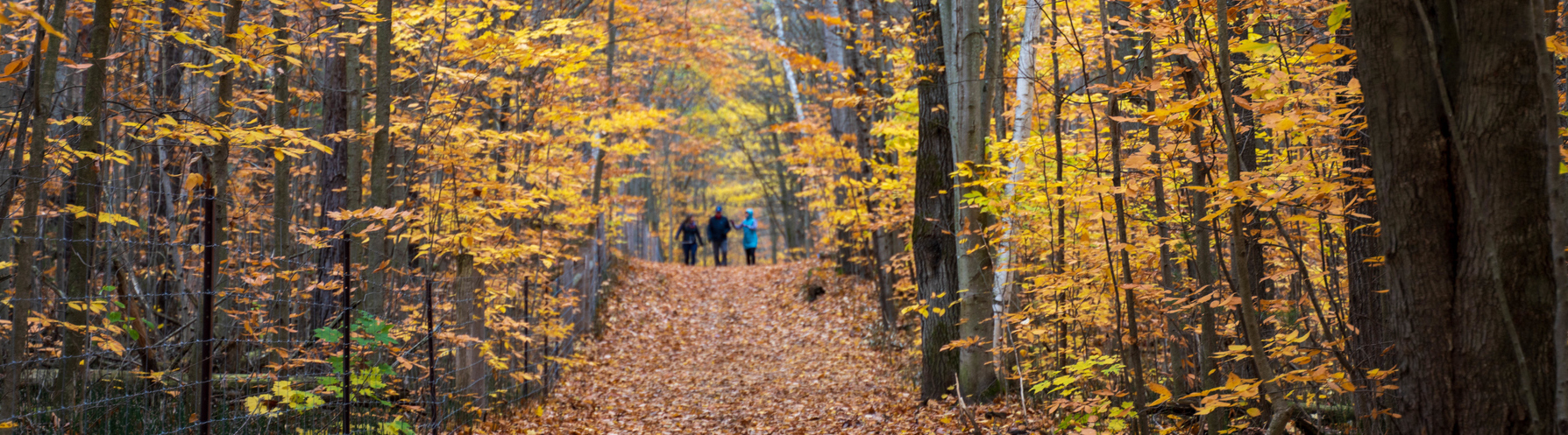 Thing To Do Fall Activities